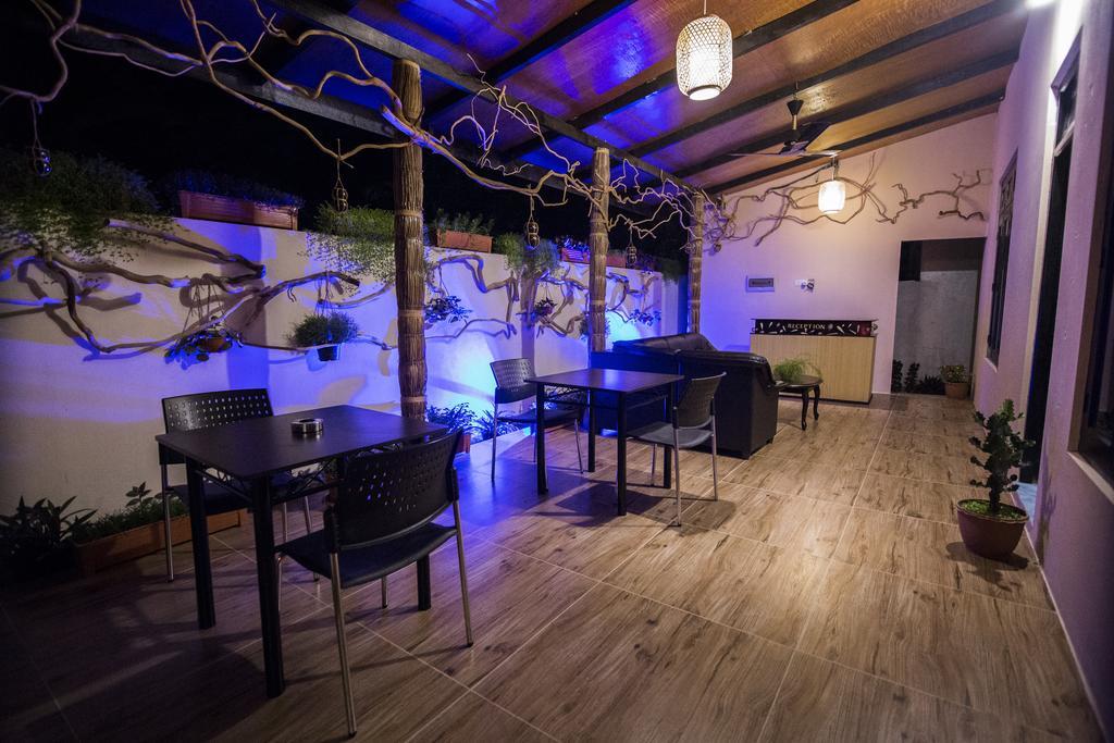Ari Heaven Thoddoo Maldives Hotel Екстериор снимка